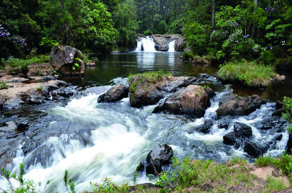 Conecte-se com a natureza: 10 trilhas seguras para explorar em São Paulo